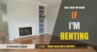 Transforming Rental Spaces: Painting Your Room