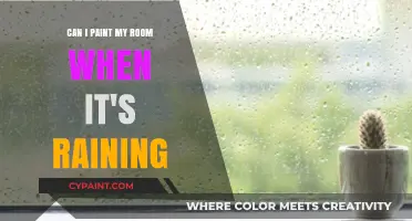 Painting Rooms in Rainy Weather: What You Need to Know