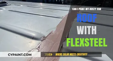 Painting Rusty Van Roofs with Flexsteel: A Smart Move?