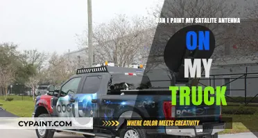 Painting Truck Satellite Antennas: Yes or No?