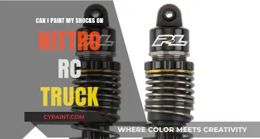 Painting RC Truck Shocks: A Good Idea?