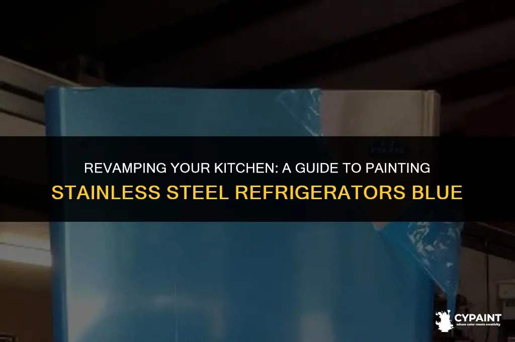 can i paint my stainless steel refrigerator blue