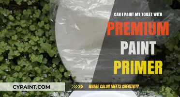 Primer Paint for Toilets: Worth the Premium?
