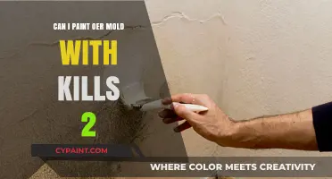 Reviving Your Walls: Painting Over Mold with Killz 2