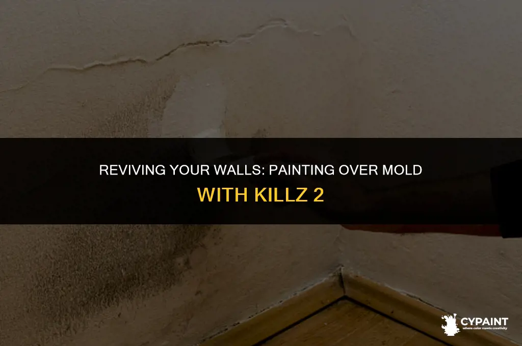 can i paint oer mold with kills 2