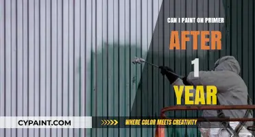 Reviving Your Primer: Can You Paint Over It After a Year?