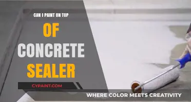 Revamping Your Concrete: Painting Over Sealer - Tips and Tricks