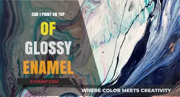 Revamping Your Space: Painting Over Glossy Enamel Surfaces