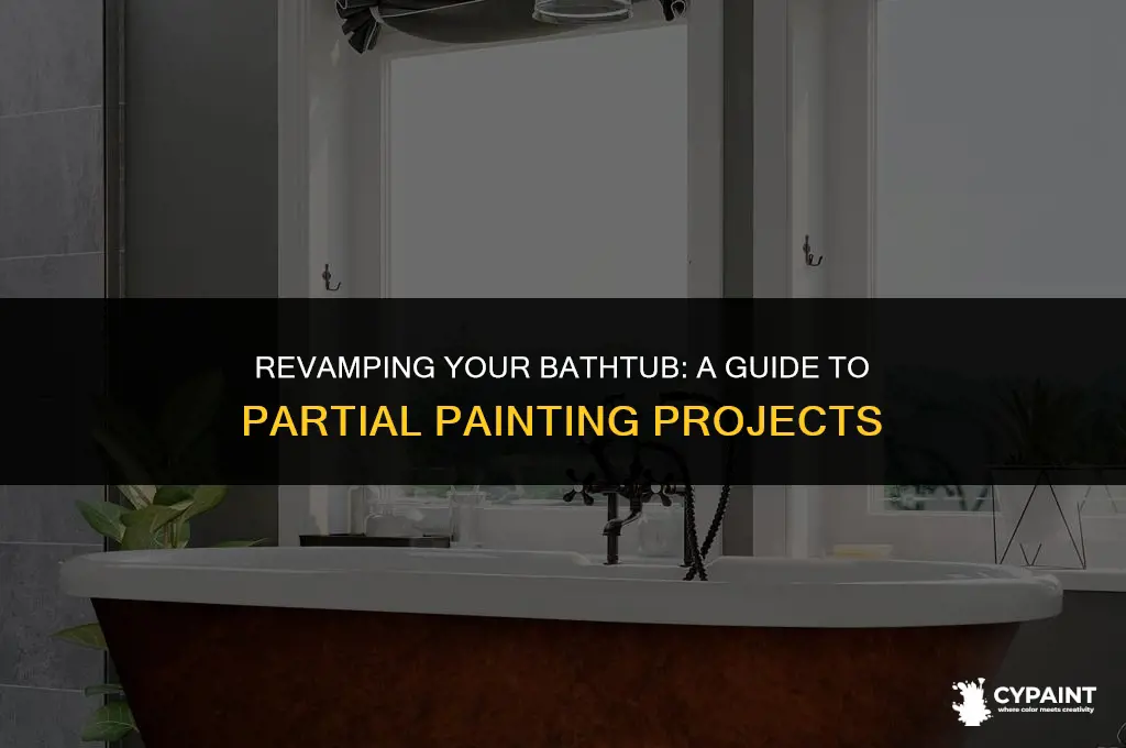 can i paint only a portion of bathtub