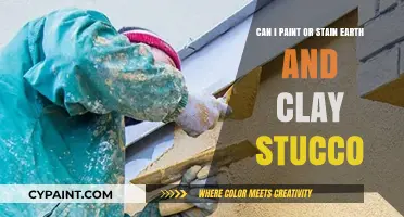 Staining or Painting Earth and Clay Stucco: What's Possible?