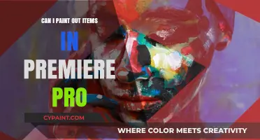 Mastering Premiere Pro: Painting Out Items Made Easy