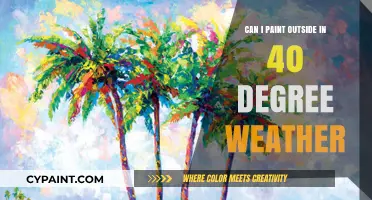 Chilly Creativity: Tips for Painting Outdoors in 40°F Weather