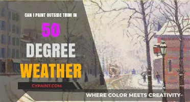 Spring Painting: Trimming in 50-Degree Weather