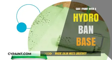 Revamping Your Space: Painting Over a Hydro Ban Base