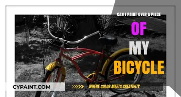 Transform Your Bicycle with Paint!