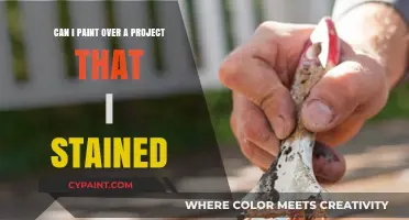 Transforming Stained Projects: Paint Over or Not?