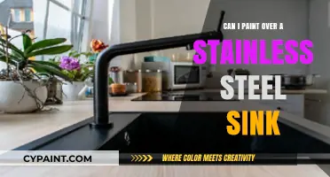 Revamping Your Kitchen: Painting Over Stainless Steel Sinks
