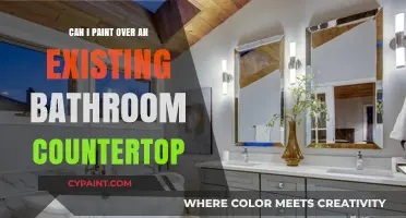 Revamping Your Bathroom: Painting Over an Existing Countertop