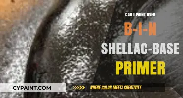 Painting Over B-I-N Shellac Primer: Tips for a Flawless Finish