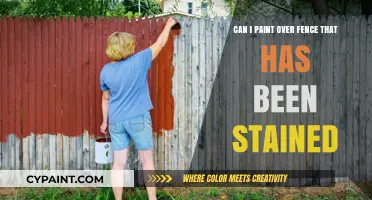 Stained Fence Makeover: Paint Over or Not?