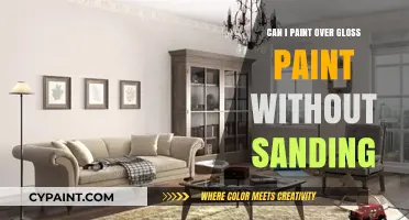 Painting Over Gloss: A Sanding-Free Guide for DIY Enthusiasts