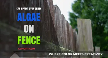 Reviving Your Fence: Tips for Painting Over Green Algae
