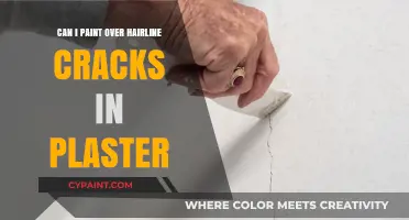 Patching Up: Effective Ways to Paint Over Hairline Cracks in Plaster