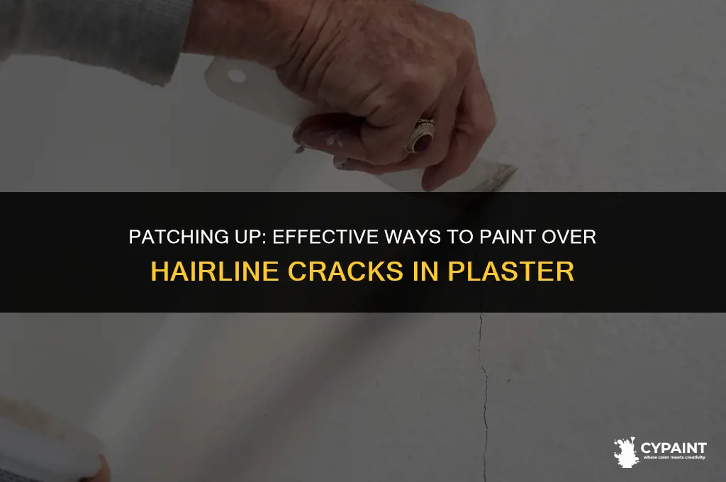 can i paint over hairline cracks in plaster