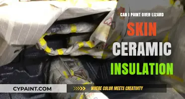 Revamping Lizard Skin Ceramic Insulation: A Painter's Guide