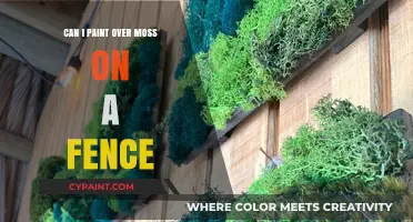 Reviving Your Fence: A Guide to Painting Over Moss