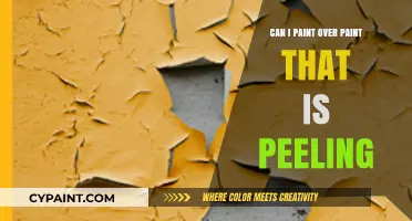 Reviving Your Walls: Can You Paint Over Peeling Paint?