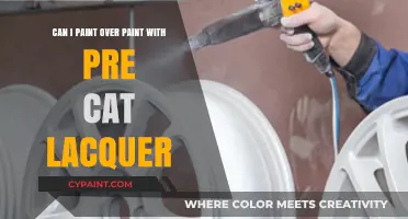 Lacquer Painting: Can You Paint Over Paint?
