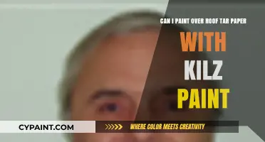 Painting Over Roof Tar Paper: Can Kilz Be Your Solution?
