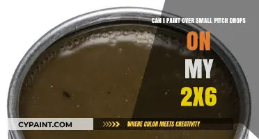 Painting Over Pitch Drops: Tips for Smooth 2x6 Wood Surfaces