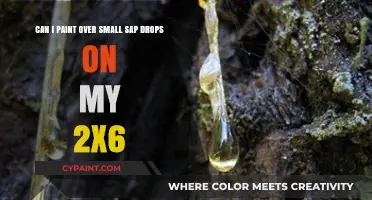 Painting Over Sap Drops on 2x6: Tips and Best Practices