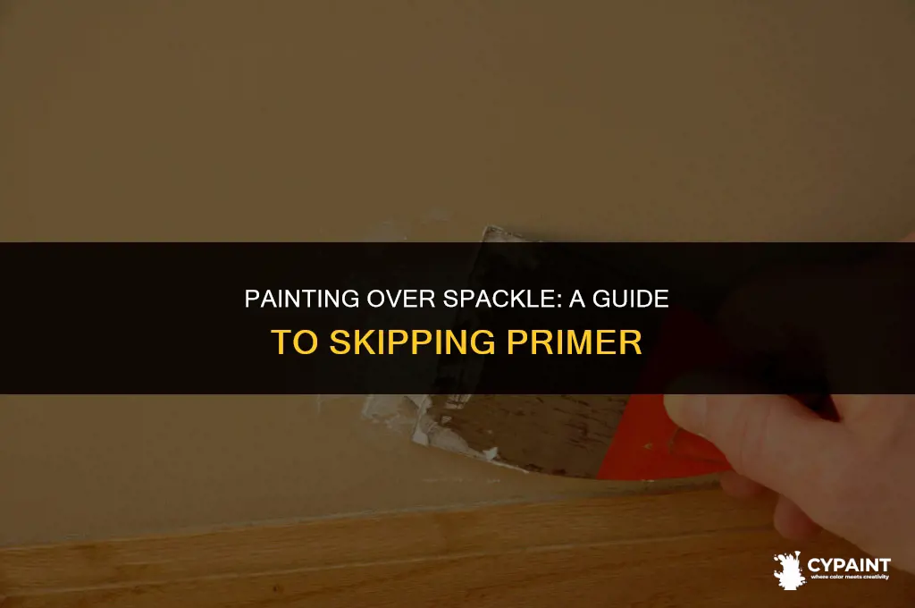 can i paint over spakle instead of priming