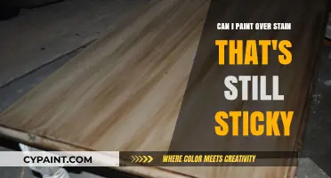 How to Paint Over Stains That Won't Dry