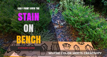 Reviving Your Bench: A Guide to Painting Over Stains