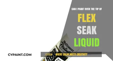 Painting Over Flex Seal Liquid Tips: What You Need to Know