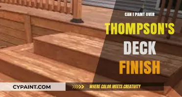 Revamping Your Deck: Painting Over Thompson's Deck Finish