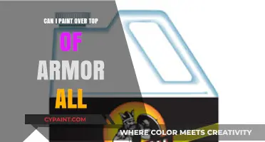 Revamping Your Ride: Can You Paint Over Armor All?