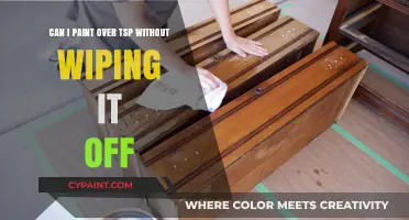 How to Paint Over TSP Without Wiping: A Guide