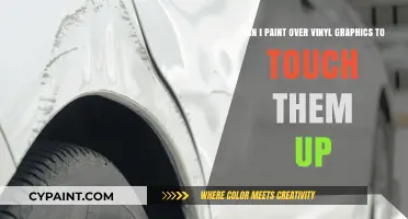 Painting Over Vinyl Graphics: A Viable Touch-Up Solution or Not?