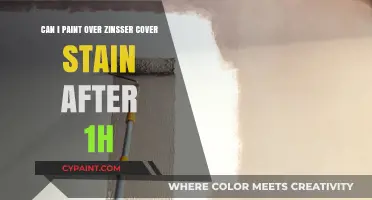 Primer Perfection: Painting Over Zinsser Cover Stain