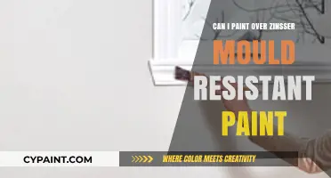 Revamping Walls: Painting Over Zinsser Mould Resistant Paint