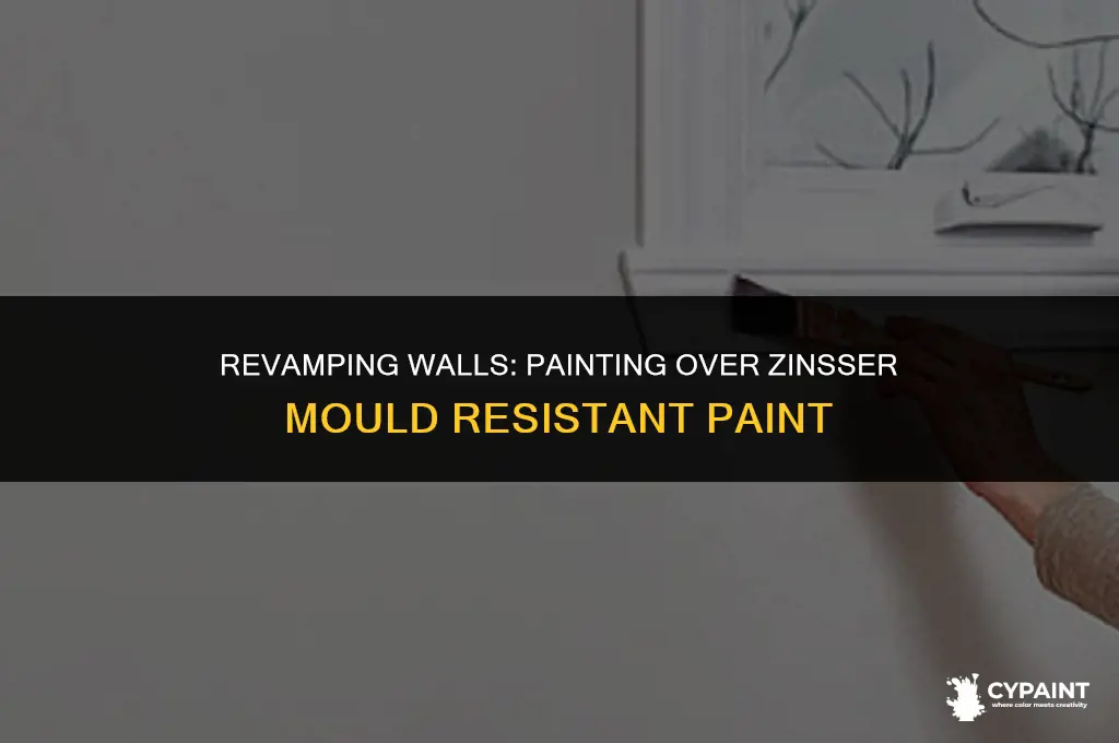 can i paint over zinsser mould resistant paint
