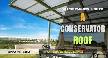 Painting Polycarbonate Sheets: Conservatory Roof Makeover