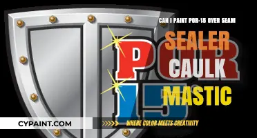 Painting Over Seam Sealer: Can POR-15 Be Applied to Mastic?