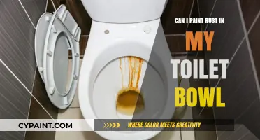 Reviving Your Throne: A Guide to Painting Over Rust in Toilet Bowls