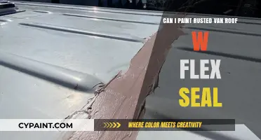 How to Paint a Rusted Van Roof with Flex Seal